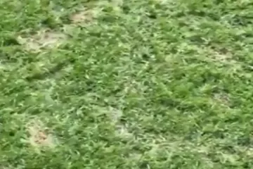 'Nepristojno je da igramo na takvom stadionu'