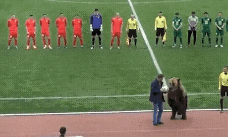 Idealan nogometni sudac