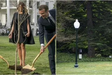Gdje je nestalo drvo? Misteriozno nestao hrast kojeg su pred Bijelom kućom zasadili Trump i Macron
