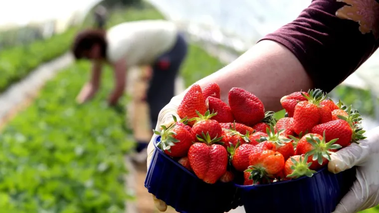 Beračima se vi&scaron;e isplati čistiti apartmane i brodice