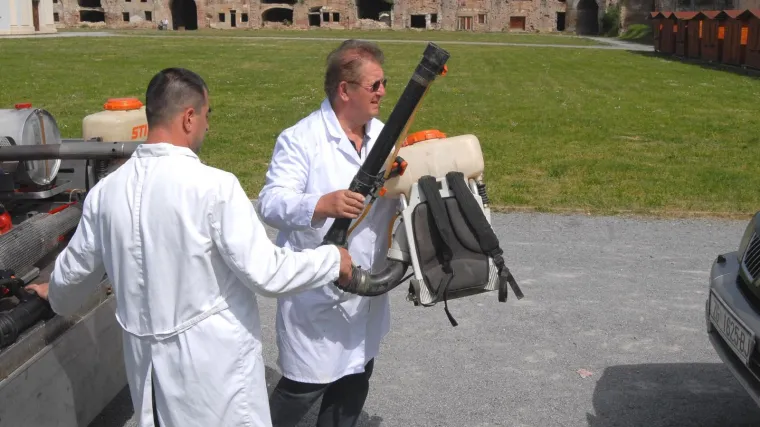 Rekordna pojava komaraca na osječkom području: zabilježeno i do 50 uboda u minuti!