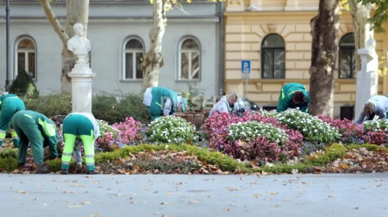 Tko to tamo krade? Uzimaju cvijeće iz gradskih parkova ne bi li njihove vaze i teglice izgledale ljep&scaron;e