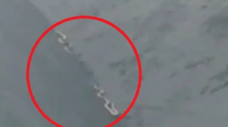 VIDEO Dvije zmije dugačke preko dva metra koje su do&scaron;le brodom i dalje lutaju Bakrom?