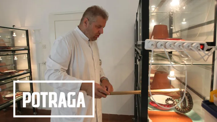 Zalihe protuotrova za zmije su na isteku: istražujemo kako je propao Imunolo&scaron;ki zavod koji ga je proizvodio!