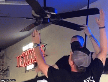 Sjedili u kafiću, pa na stropnom ventilatoru ugledali zmiju. Tek onda je nastupio horor...