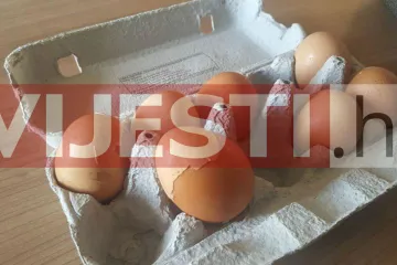Kakva su ovo čudna jaja? Javila nam se šokirana čitateljica: 'Krpana jaja! Pitate li se i vi što li je i kakvo unutra?'