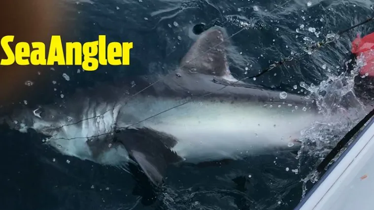 Pobijedio opaku neman pa napravio ono što nitko ne bi očekivao