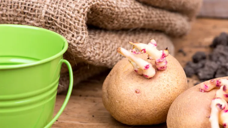 To se događa ako predugo stoji i vrlo je opasno