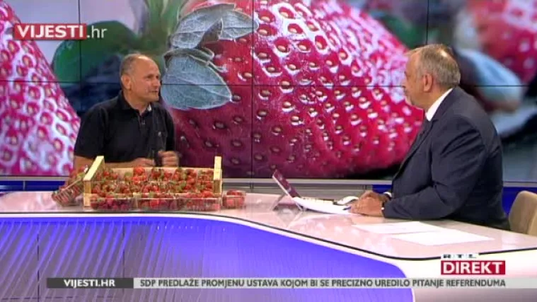 Uzgajivač jagoda u RTL Direktu: 'Cijeli dan sam se mučio s berbom, a onda su me Plodine hladno odbile'