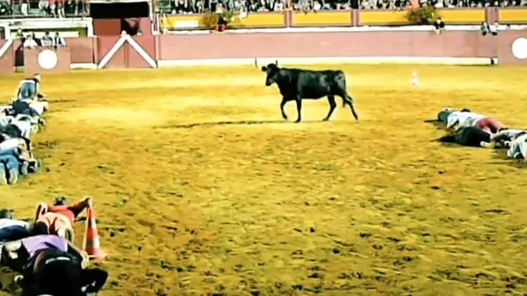 Mora&scaron; biti pravi genijalac da se odvaži&scaron; na ovakvo &scaron;to