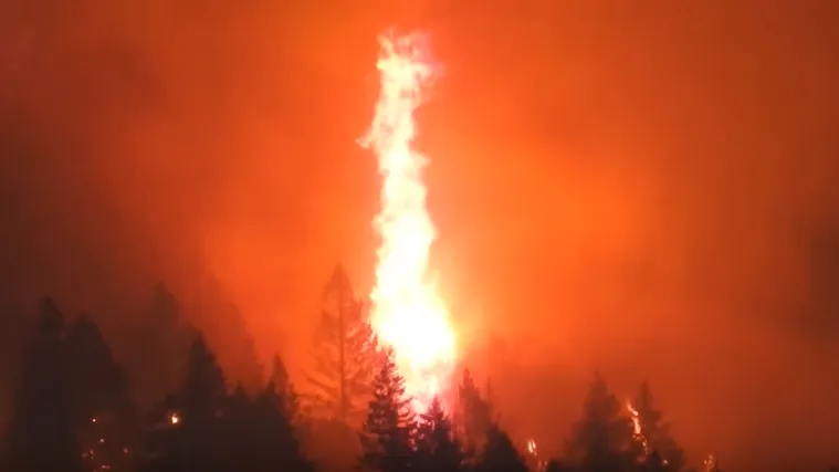 Tinejdžer optužen za podmetanje požara mora platiti novčanu kaznu od 230 milijuna kuna