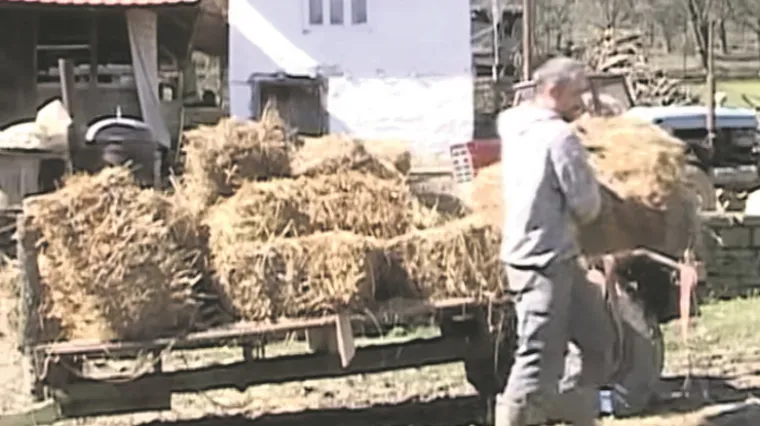 Bojanu iz Srbije zatvor zbog neregistrirane prikolice za traktor, za pomoć se obratio Vučiću!