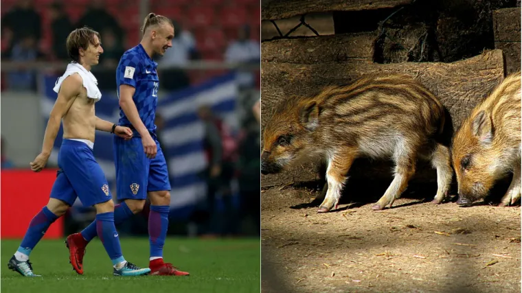 Rusi nisu ni&scaron;ta prepustili slučaju, evo &scaron;to je zabranjeno zbog smje&scaron;taja Modrića i dru&scaron;tva