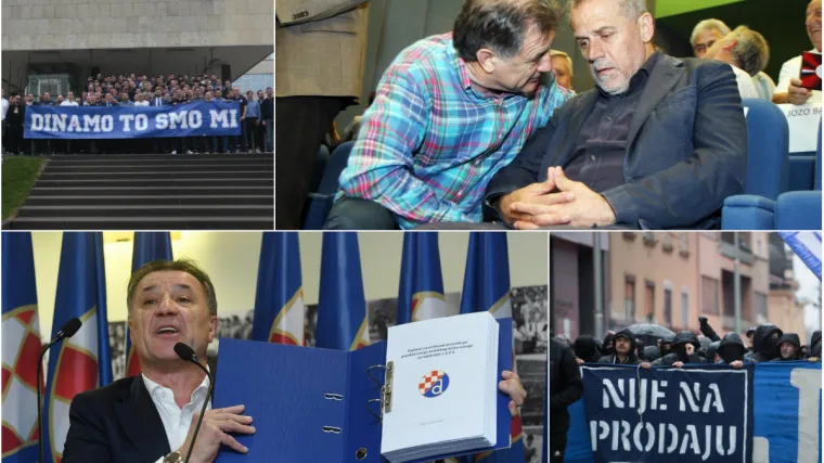 Šok u Maksimiru, Janičin ured odbio Dinamov elaborat