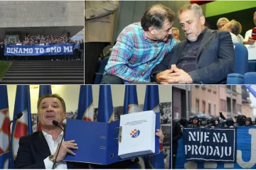 Šok u Maksimiru, Janičin ured odbio Dinamov elaborat