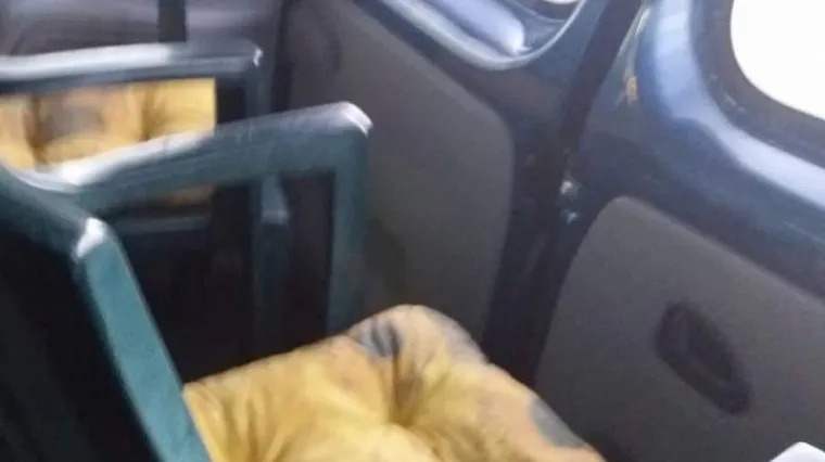 'Ovako srednjoškolci putuju na nastavu. U prtljažniku kombija na plastičnim stolicama za plažu'