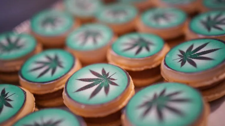 Stigla kozmetika na bazi ulja konoplje koje slovi kao eliksir mladosti