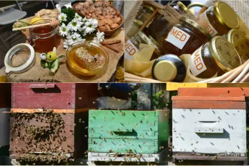 'Uvoze nekvalitetan i jeftin med pa smo prisiljeni okrenuti se sivom tržištu'