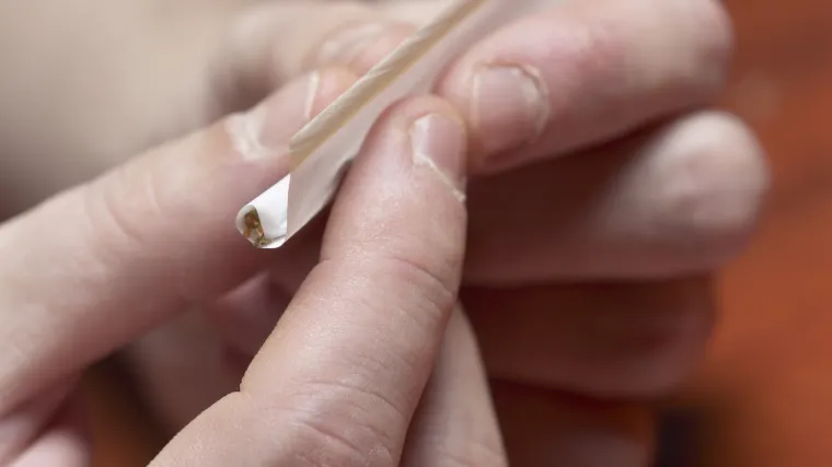 Nova sudska praksa: bračni par oslobođen krivnje za uzgoj marihuane