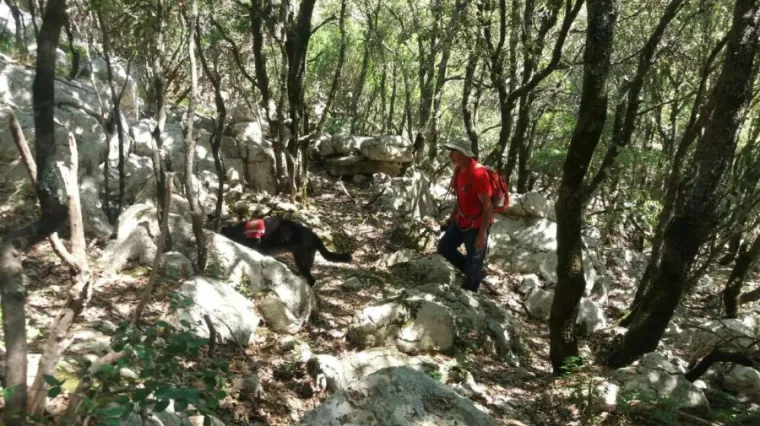 Za njime traga 45 ljudi, četiri psa i dva drona, jo&scaron; mu nema ni traga