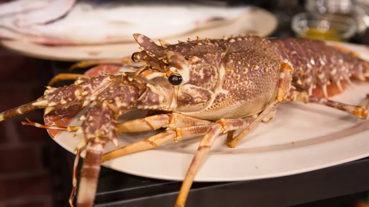 Potez očajnika: da bi se spasio od vruće juhe, rak sam sebi otkinuo klije&scaron;ta