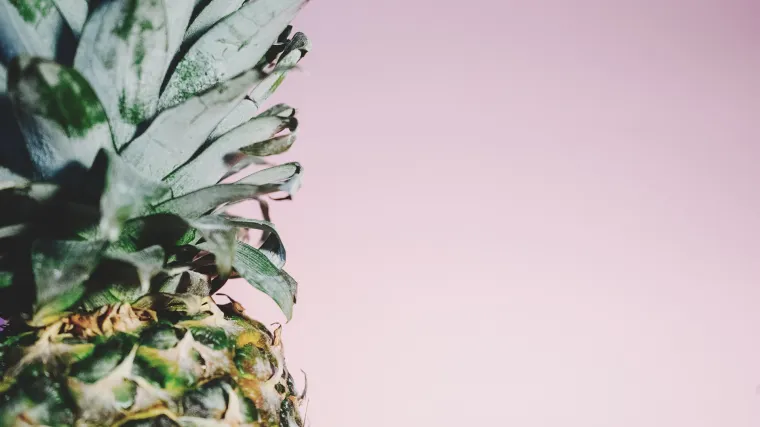 Kako posaditi ananas: savjeti za uspješnu sadnju ananasa