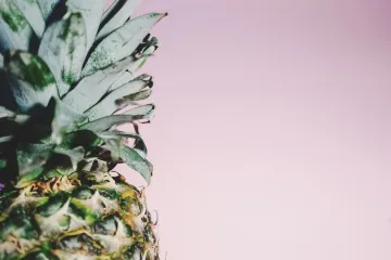 Kako posaditi ananas: savjeti za uspješnu sadnju ananasa