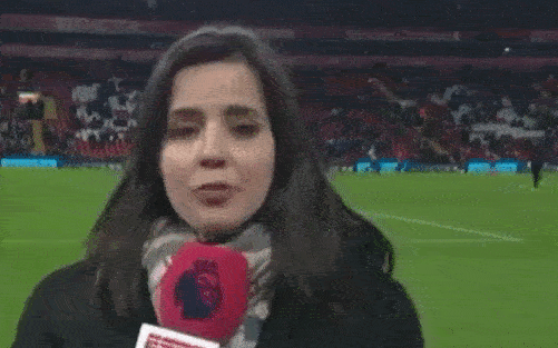 KAD TI SE POSAO DOSLOVNO OBIJE O GLAVU: Misliš da imaš loš dan? Ovi sportski reporteri nokautirani su na poslu