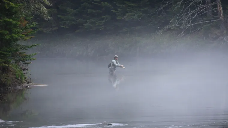 Mladica riba - najznačajnija riba u sportskom ribolovu