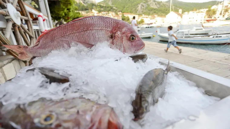 'Juha 75,00 kuna. Halo? Njima je poseban gu&scaron;t oderati nas...'