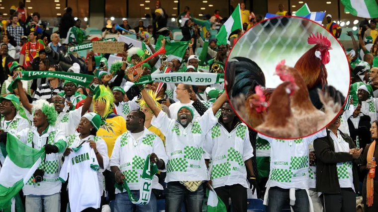 Nigerijci na tribine žele unijeti žive koko&scaron;i, od Rusa dobili negativan odgovor