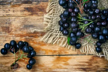 Znate li kada se sadi aronija?