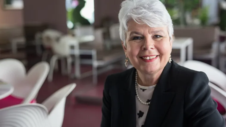 'Neprimjereno je da se Sanader upu&scaron;ta u političke analize, a Plenković je sklopio pakt s Milijanom Brkićem'