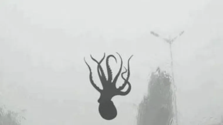 Za hobotnicu koja pada s neba postoji samo jedno obja&scaron;njenje