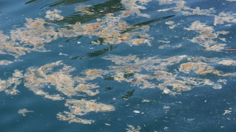 Ekolo&scaron;ki incident na istočnoj obali Istre: veći dio Ra&scaron;kog zaljeva oneči&scaron;ćen te&scaron;kim gorivom