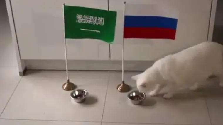 Rezultate utakmica na Svjetskom u Rusiji predviđa čak 11 životinja i robot!