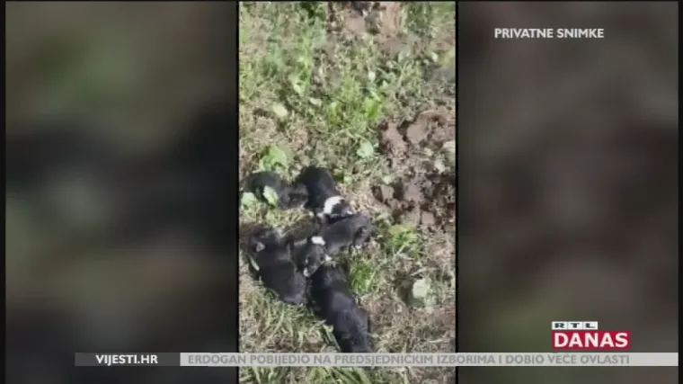 Zakopao žive &scaron;tence: Spasiteljima slijedi kazna, a počinitelj nekažnjen