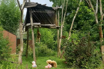 Utakmica s Islandom bit će neizvjesna, evo što je predvidio simpatični Kent