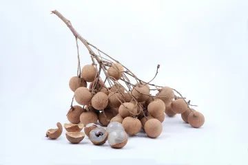 Slatko i sočno longan voće - Što je longan voće i kako se jede?