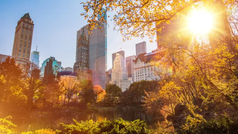 Najslavniji park na svijetu odsad bez automobila