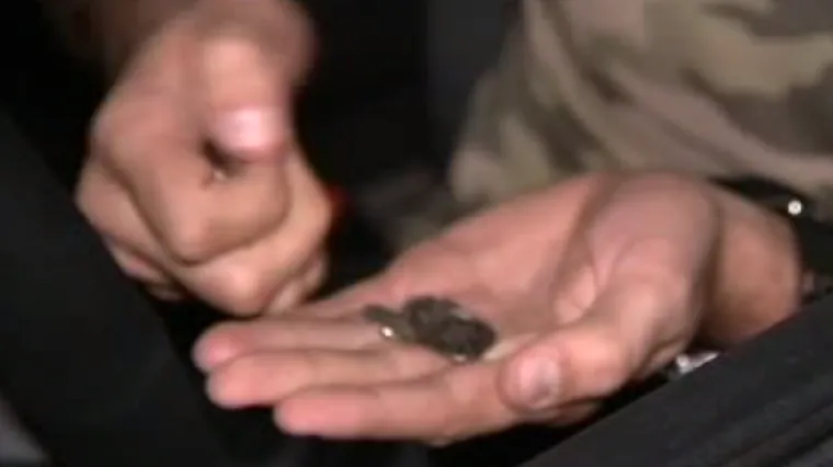 VIDEO Protivnici visokih cijena goriva imaju novu akciju: Snimili smo ih kako cestarinu plaćaju u lipama