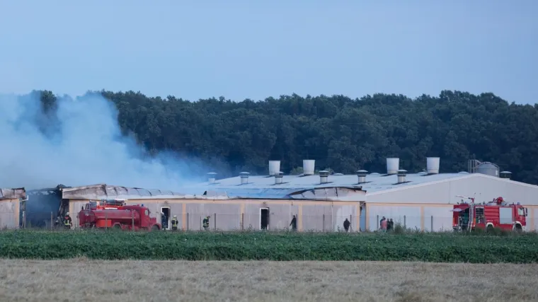 Otkriveno &scaron;to je uzrokovalo požar na Agrokorovoj farmi: Stradalo je tisuće svinja