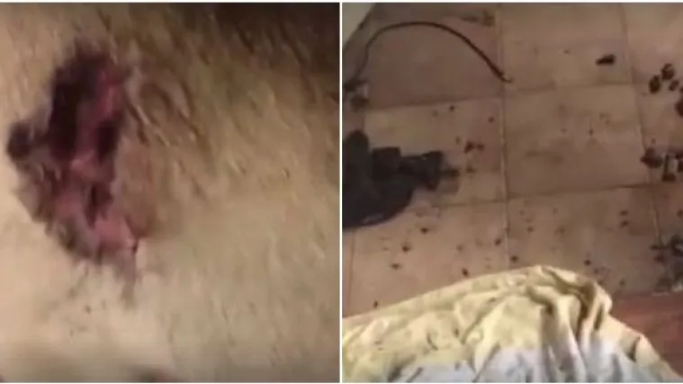 VIDEO Ekipa Levijatana iz Zagreba upala u 'sekta&scaron;ku' kuću i spasila psa kojeg su koristili za rituale