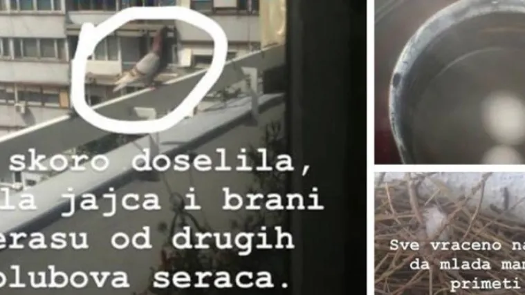 FOTO Monstruozan čin srpskog glazbenika zbog kojeg je izbačen iz benda: 'Bolest ne bira'