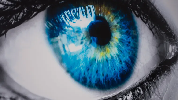 Optical Express za ljep&scaron;i pogled na život