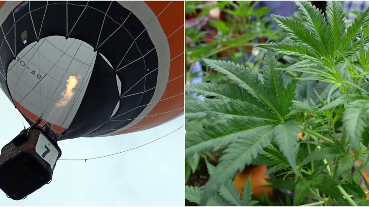 Letio balonom i slučajno otkrio plantažu marihuane: Biste li vi, kao i ovaj savjesni građanin, prijavili slučaj policiji?