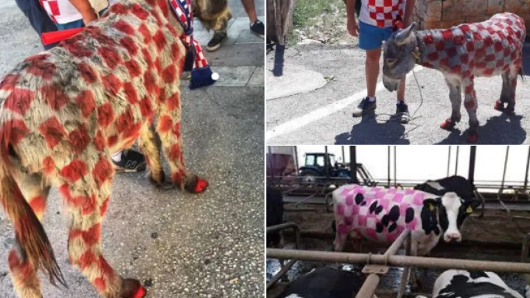 FOTO 'Navijajte i veselite se, ali za boga miloga, ne bojajte životinje i ne izlažite ih stresu!'