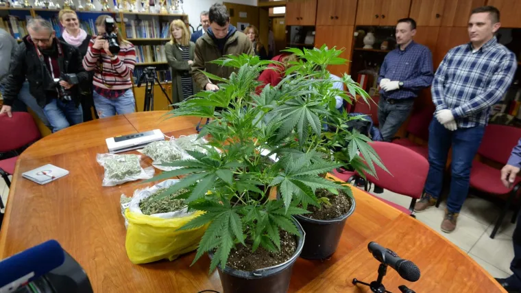 Policija uhitila 75-godi&scaron;njaka s vi&scaron;e od pola kilograma marihuane