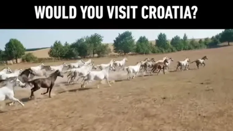 Svjetski poznat 9GAG promovira Hrvatsku: 'Svi koji možete, posjetite ovu zemlju'