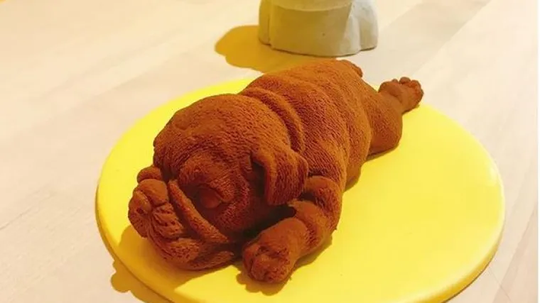 Ova slastičarna radi sladolede u obliku psića: 'Izgledaju toliko stvarno'